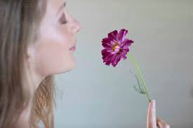 Young woman with eyes closed smelling daisy flower stock photo