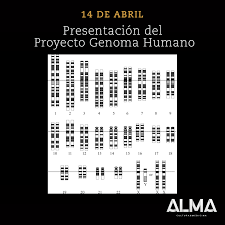 Maybe you would like to learn more about one of these? Alma Cultura Medicina El Proyecto Genoma Humano Fue Un Proyecto Internacional De Investigacion Cientifica Con El Objetivo Fundamental De Determinar La Secuencia De Pares De Bases Quimicas Que Componen El Adn E