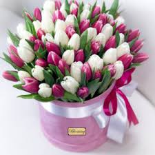 208,459 likes · 13,321 talking about this. Lalele Archives Blooming Moldova