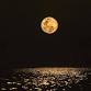 Full Moon Gathering with Maya Rook — Maine event image