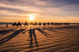 Join an icon of broome for a leisurely ride along cable beach. 3 Camel Rides In Broome Western Australia Our Memorable Experience