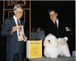 Delivering havanese puppies in our home in central michigan for over 25 years. Kase Havanese Quality Havanese Puppies In Charlotte North Carolina