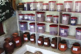 Advantage of storing seeds in seed banks. Https Www Bioversityinternational Org Fileadmin User Upload Community Seed Banks Pdf