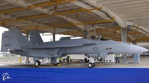 $\begingroup$ super hornet is a larger version of the hornet. U S Navy Just Got Its First New F A 18 Super Hornets Here Are The Key Upgrades