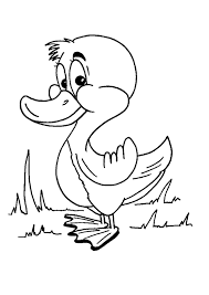 page 6 sur 48 hugolescargot com coloriage animaux de la ferme a colorier gratuit jakarta