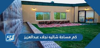 We did not find results for: Ù†Ø¬Ù„Ø§Ø¡ Ø¹Ø¨Ø¯Ø§Ù„Ø¹Ø²ÙŠØ² ÙˆÙŠÙƒÙŠØ¨ÙŠØ¯ÙŠØ§