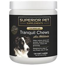 Pet Sleeping Pills Sedatives For Dogs How And When To Use Them Safely