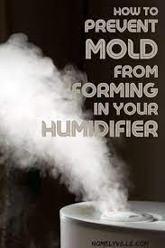Maybe you would like to learn more about one of these? Mold Forming In A Humidifier What To Put In A Humidifier To Prevent Mold Humidifier Molding Warm Mist Humidifier