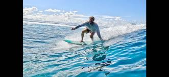 Image result for foto surfínie