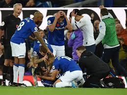 Everton vs wolverhampton wanderers highlights and full match competition: Everton Vs Tottenham Andre Gomes Suffers Horror Injury As Everton Deny Tottenham Watch Football News