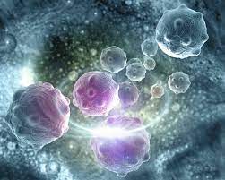 It may have a mixture of pink, tan, or brown shades. Cancer Cells Types Formation And Characteristics