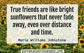 We see inspirational quotes everywhere these days. 41 Inspirational Sunflower Quotes To Brighten Your Life