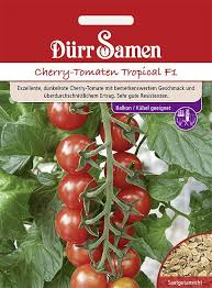Die früchte sind noch geschmacksintensiver, wenn sie selbst angebaut werden. Cherry Tomaten Tropical F1 Saat Gut