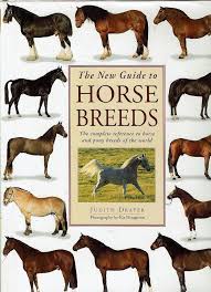 As many pictures and media files as possible should be moved into appropriate subcategories. The New Guide To Horse Breeds The Complete Reference To Horse And Pony Breeds Of The World Draper J