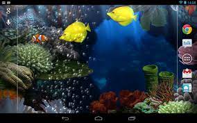 49 Aquarium Live Wallpaper Windows 10 On Wallpapersafari