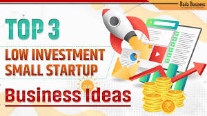 Top 3 Low Investment Small Startup Business Ideas