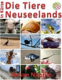 In neuseeland gibt keine einzige einheimische landschlange. Tiere In Neuseeland Tipps Von Tourleader Neuseeland