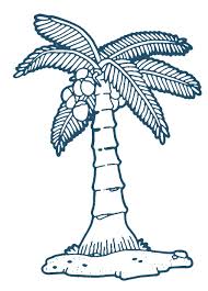 Pin By Bernardo Do Amaral On Education Fruit Coloring Pages Free Clip Art Coconut