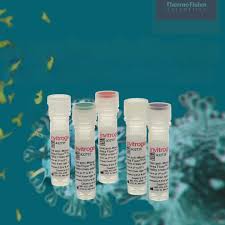 Earn 2X Aspire Points