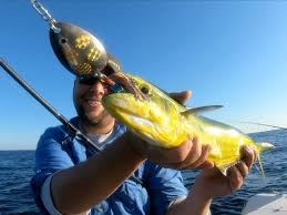 Metal alloy, strong quality helps you to catch the fishes. Make An Easy Diy Spoon Lure That Will Catch Almost Any Fish That Swims