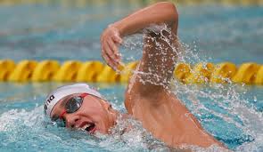 Check spelling or type a new query. Makalah Renang Gaya Bebas Sekolah007