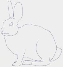 We did not find results for: Bagaimana Untuk Menarik Kelinci Dari Kartun Bagaimana Untuk Menarik Arnab Menggunakan Pensil