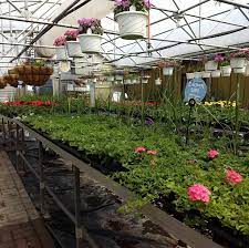 This business listing is provided by Ole S Nursery Home Facebook