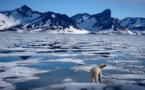 Image result for global warming photos