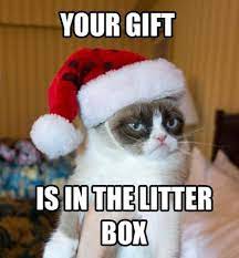 100 Funniest Merry Christmas Memes Sayingimages Com