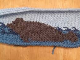 Browse by theme and level to find the design of your dreams! Ravelry Manatee Seal Panel Pattern By Koalamely