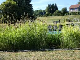 Piscines Sans Chlore Nageurs Com