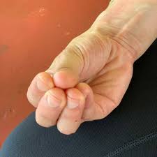 Samana Mudra Este mudra nos ayudara a... - Rishikul Yogshala in ...