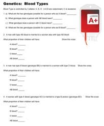 Allele, gene locus, and chromosome.be sure to draw arrows to specify where you are labeling! Blood Type Alleles Worksheets Teaching Resources Tpt