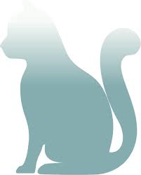 Just like cats and dogs, your exotic pet needs ongoing veterinary care to maintain optimal health. Belmont Veterinarian South Point Pet Hospital
