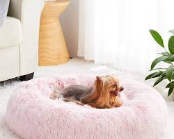 10 recommended faux fur cat cushionsの画像