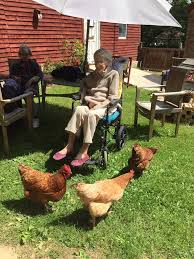 Pin By Oaklands Rest Home On Oaklands Rest Home Nursing Home In Southampton Rest House Nursing Home Southampton