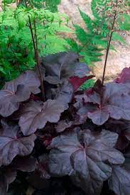 Pin On Garden Ideas