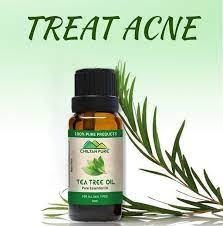 Pin On Chiltan Pure Carrier Oil