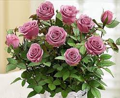 Check spelling or type a new query. Retail Hell Underground You Had One Job 1 800 Flowers The First Valentine S Day Bouquet Fail Of The Season Has Been Delivered