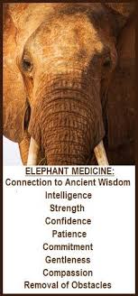 Animal Spirit Guide Elephant Balanced Women S Blog Animal Totem Spirit Guides Elephant Animal Spirit Guide