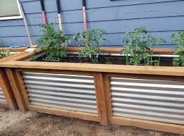 Anybody else on the topic of ants? Follow These Steps To Replenish Nutrients In Raised Garden Beds Ask An Expert Oregonlive Com