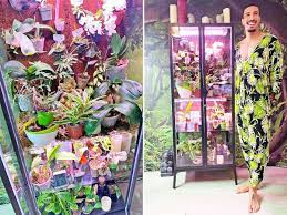 I think this is because i run my fans 24/7, and i would recommend you to do this too! People Are Turning A 200 Ikea Cabinet Into Diy Greenhouses For Indoor Plants And A Man With 40 Plants Showed Us His Genius Hack Business Insider India