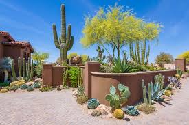 25601 n scottsdale rd, scottsdale, az 85255, usa. Desert Foothills Landscape Specializing In Custom Desert Landscapes