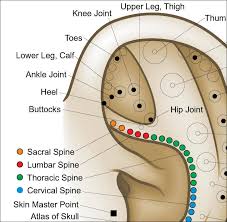 auriculotherapy ear acupuncture poster