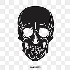 Black Skull Front Image Monochrome Dark Vectors Png And Vector With Transparent Background For Free Download Skulls Drawing Skull Illustration Gold Drawing