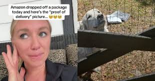 Woman Posts Super Cute Delivery Photo From Driver