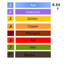 Chart To Show L Oreal Professionnel Hair Tone Reflect Colour Numbering System Loreal Hair Color Hair Color Number Chart Loreal Hair Color Chart