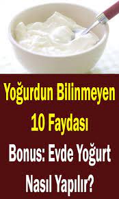 yogurdun faydalari ve evde yogurt nasil yapilir saglikli yasam yogurt yemek