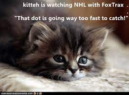 Kitteh Is Watching Nhl With Foxtrax Kittens Cats Kittens Cutest