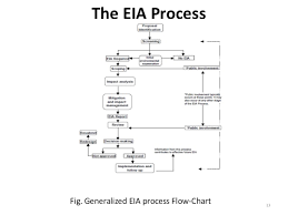 environmental impact assessment